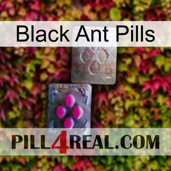 Black Ant Pills 38.jpg